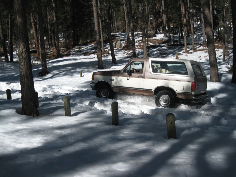 Two-tone Ford Bronco driving through snow in a wooded area. Dog visible in the back seat