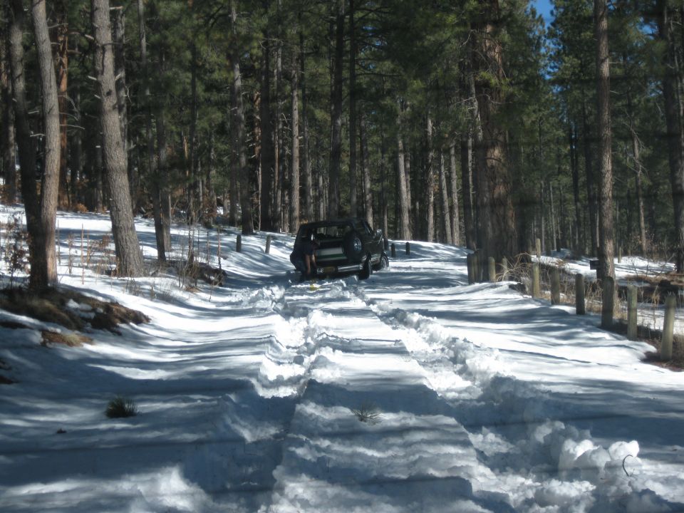 Black SUV on snowy forest road, rear view