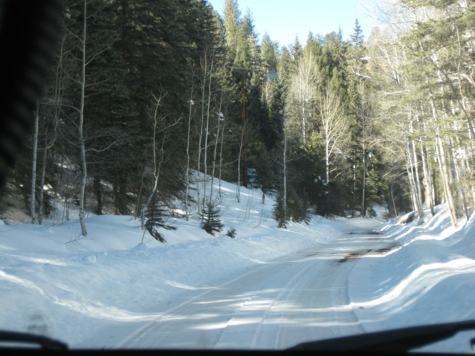 Snowy road through a forest with tall trees and blue sky