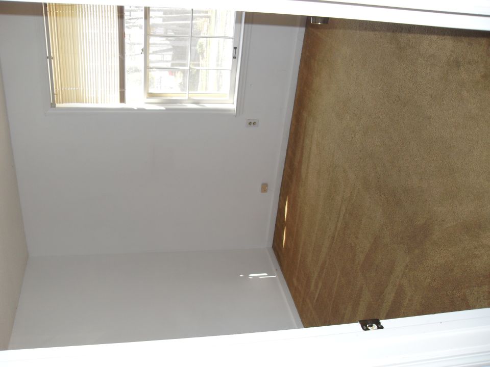 Interior room scene with carpet and window