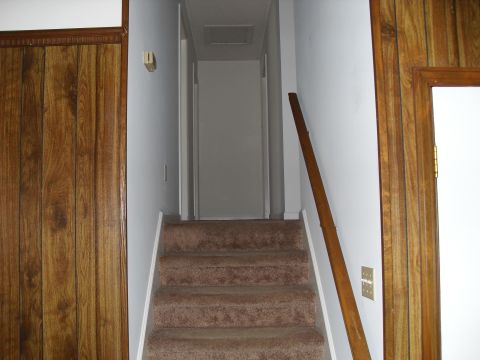1988 Ford Bronco - An interior view of a carpeted staircase leading to a hallway, flanked by wood-paneled walls.