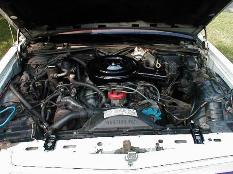 1985 Ford Crown Victoria LTD - The engine bay of a 1985 Ford Crown Victoria LTD is visible with the hood open, showing the engine components.