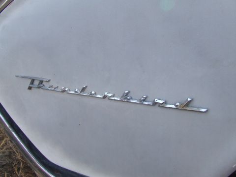 1961 Ford Thunderbird - The chrome 'Thunderbird' script emblem is clearly visible on the vehicle's body panel.