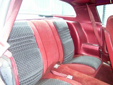 1978 Pontiac Trans Am - The rear seating area of a car features plush red carpeting and fabric-covered seats with a distinctive pattern.
