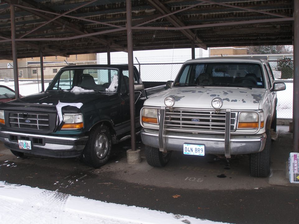 Two Ford pickup trucks parked under a shelter, one dark green, one white with a push bar