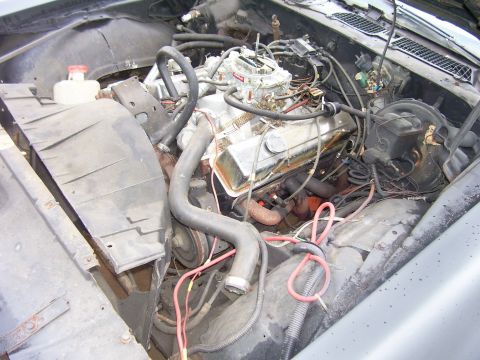 1978 Pontiac Trans Am - The engine bay of a 1978 Pontiac Trans Am shows its V8 engine and associated components.