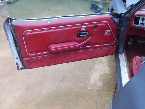 1978 Pontiac Trans Am - The red interior door panel features a chrome handle and trim, with carpeting on the lower section.
