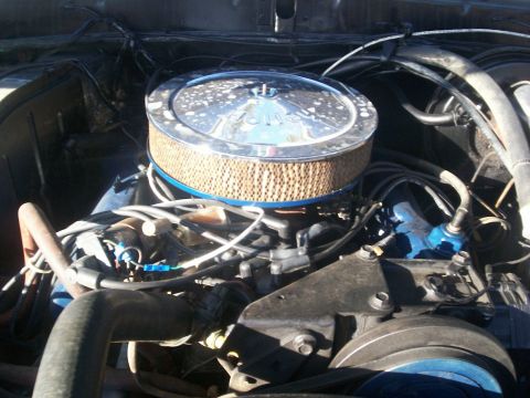 1978 Ford Bronco photo