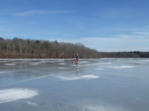 1995 Ford Mustang - A person rides a dirt bike across a frozen lake under a clear blue sky.