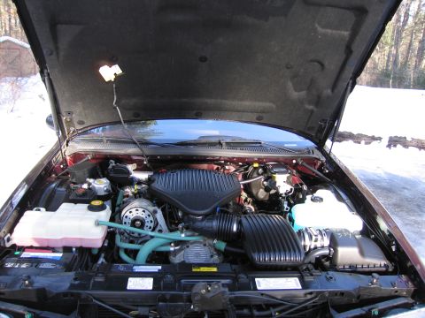 1991 Ford LTD Crown Victoria - The engine bay of a 1996 Chevrolet Caprice, its V8 engine and various fluid reservoirs under a sunny sky.