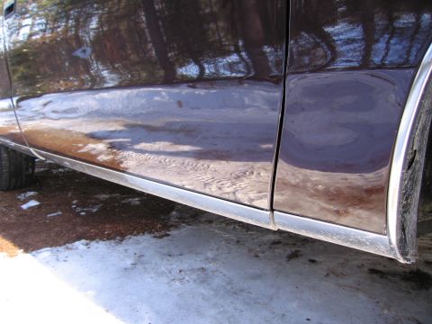 1991 Ford LTD Crown Victoria - Side view of a dark colored car's lower body panel and chrome trim, with reflections of trees in the paint.