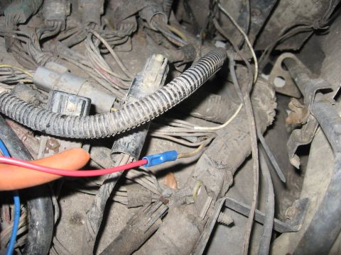 1989 Ford Bronco - A close-up view of a complex vehicle wiring harness, showing numerous wires and connectors.