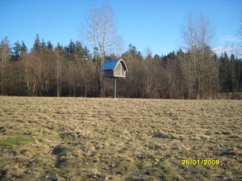 1989 Ford Bronco - A wooden birdhouse with a blue roof stands on a pole in a grassy field under a clear blue sky.