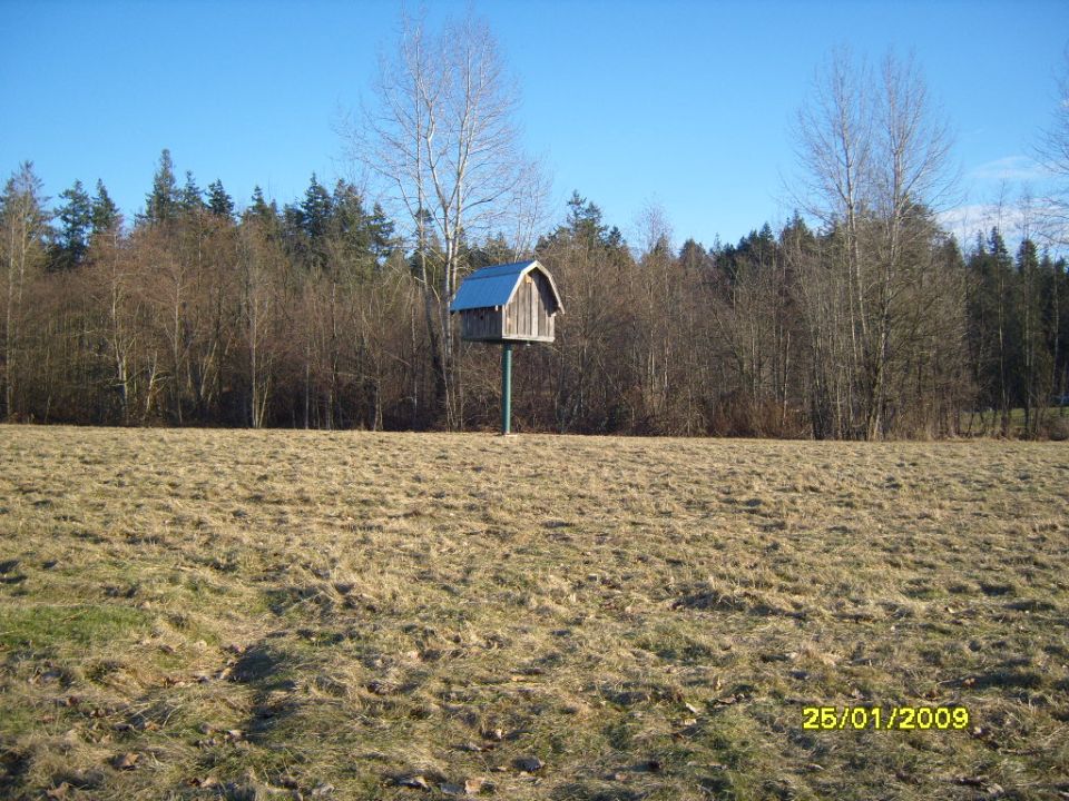 Birdhouse on a pole in a dry field with trees in the background