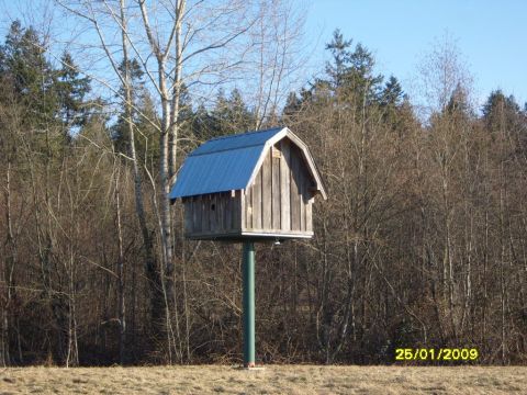 1989 Ford Bronco - A rustic wooden birdhouse with a blue metal roof stands on a pole against a backdrop of bare trees and a clear blue sky.