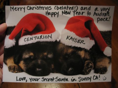 1978 Ford Bronco - A holiday card features two puppies named Centurion and Kaiser wearing Santa hats, with a message wishing a belated Merry Christmas and Hap…