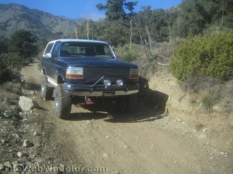 1990 Ford Bronco - lifted dark Ford Bronco with billet grille, brush guard and driving lights crawls a rocky dirt trail in a pine-dotted mountain canyon.