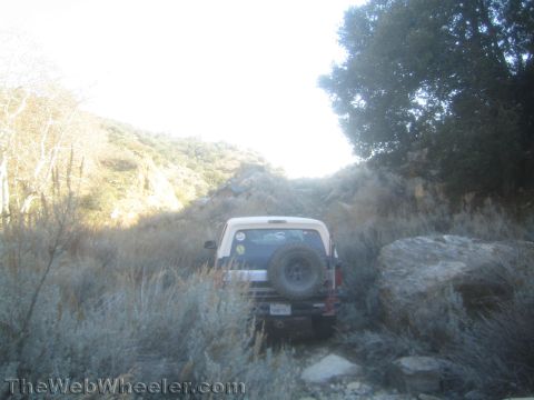 1990 Ford Bronco - Rear view of an SUV with white top and rear-mounted spare tire pushing through tall dry brush on a rocky backlit trail.