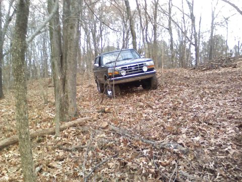 1994 Ford Bronco - A dark SUV navigates a challenging wooded terrain covered in fallen leaves.