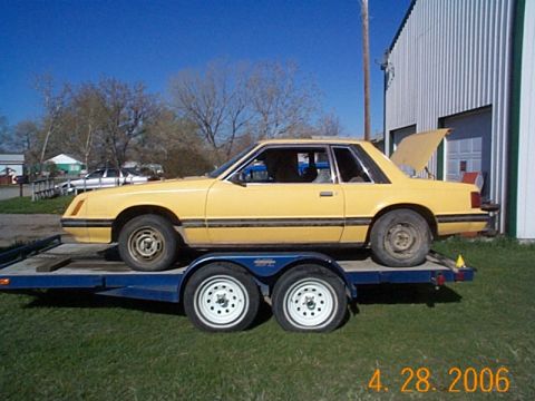 1982 Ford Mustang - before tharapy