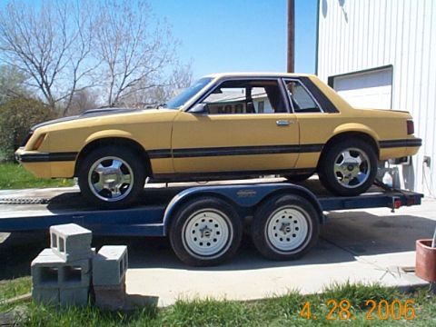 1982 Ford Mustang - after tharapy