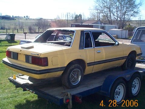 1982 Ford Mustang - before tharapy