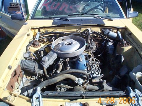1982 Ford Mustang - before tharapy