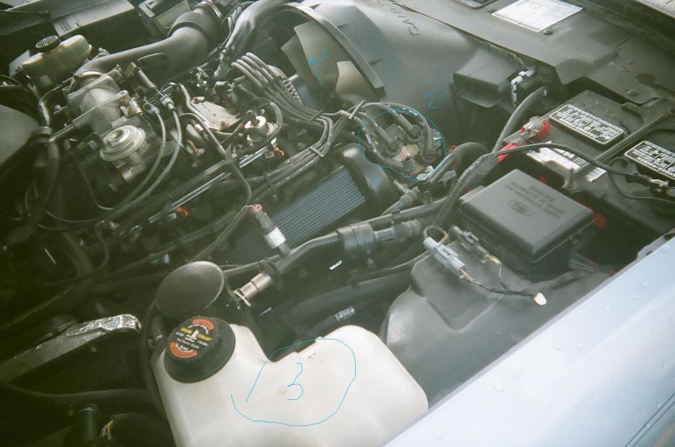 Engine bay with various hoses, wires, and a battery. A Ford logo is visible on a black box