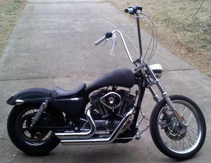 2006 Harley-Davidson Sportster Custom “Sin D Sue”