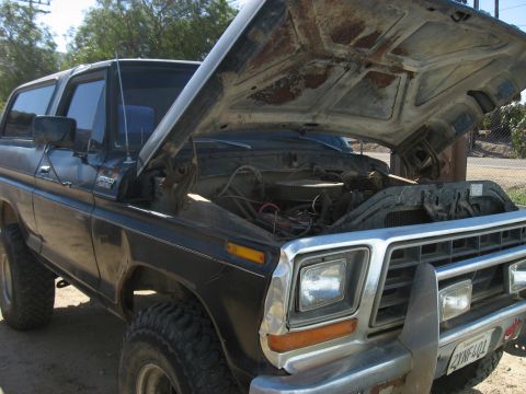 1979 Ford Bronco - This 1979 Ford Bronco is shown from the front-three-quarter angle with its hood open, revealing the engine compartment.