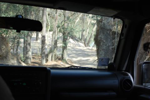 2008 Jeep Wrangler - View from inside a Jeep Wrangler looking out the windshield at a dirt path leading through a wooded area towards a body of water. The dashb…