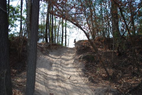 2008 Jeep Wrangler - A sandy dirt path winds uphill through a wooded area with trees on either side. The path shows tire tracks from a vehicle.