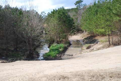 2008 Jeep Wrangler - A dirt road with a water crossing surrounded by trees.