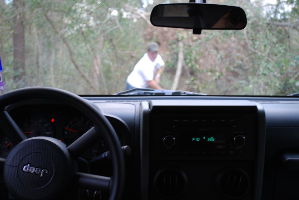 Inside view of a Jeep Wrangler dashboard and steering wheel, looking out windshield at person in woods