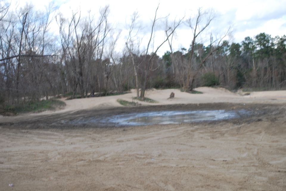 A muddy puddle in a sandy area with bare trees in the background.