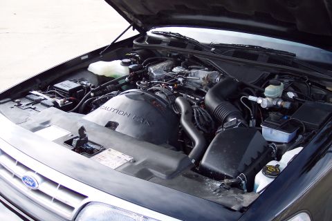 2001 Ford Crown Victoria - Engine bay of a 2001 Ford Crown Victoria, the V8 engine and associated components.