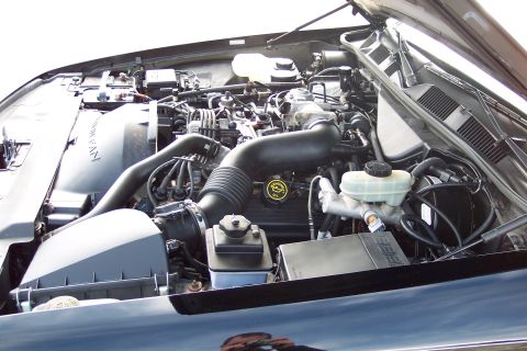 2001 Ford Crown Victoria - The engine bay of a black 2001 Ford Crown Victoria is shown with the hood open.