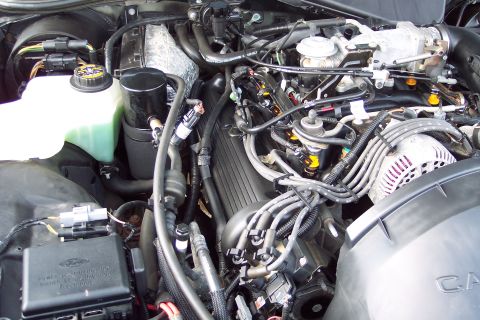 2001 Ford Crown Victoria - Close-up of a Ford V8 engine, including the fuse box and coolant reservoir.