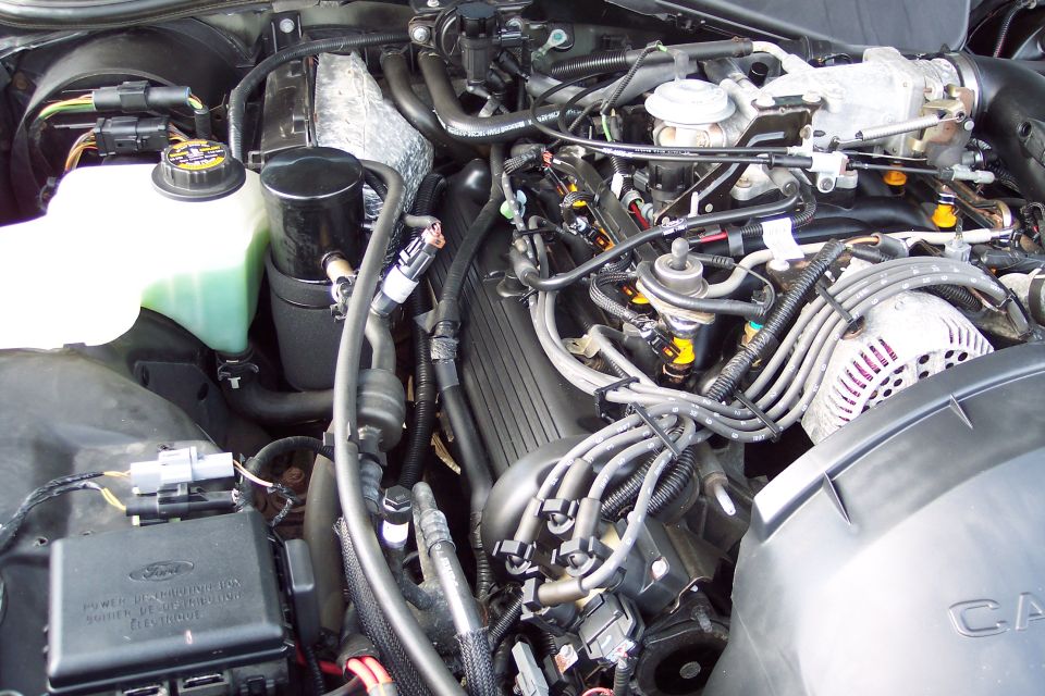 Engine bay of a Ford Crown Victoria, showing the V8 engine, alternator, and fuse box