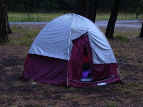 1991 Ford Bronco - A tent is set up in a campsite, with trees and a road visible.