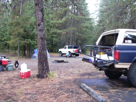 1991 Ford Bronco - A white 1991 Ford Bronco is parked at a campsite with its rear cargo door open.