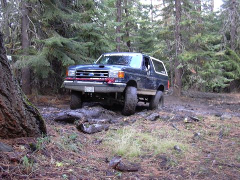 1991 Ford Bronco - A dark blue Ford Bronco is shown off-road, stuck in mud and surrounded by trees. The vehicle is angled towards the viewer, with its front t…