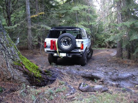 1991 Ford Bronco - A white Ford Bronco is parked on a muddy trail in a forest, with a spare tire mounted on the back and a red gas can attached to the tailgat…