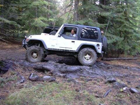 1991 Ford Bronco - A white Jeep Wrangler is driving off-road through a muddy forest trail, with its front tire on a fallen log. The driver is visible behind t…