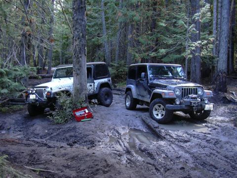 1991 Ford Bronco - Two Jeep Wranglers are parked in a muddy forest clearing. A red toolbox with tools is on the ground next to the white Jeep.
