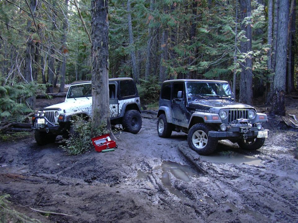 Two Jeep Wranglers in a muddy forest clearing with a red toolbox.