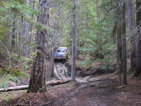 1991 Ford Bronco - A vehicle navigates a challenging off-road path through a dense forest.