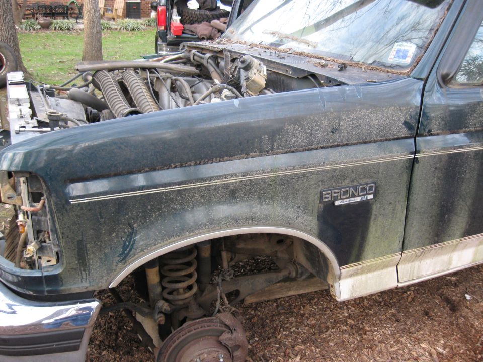Fender and motor