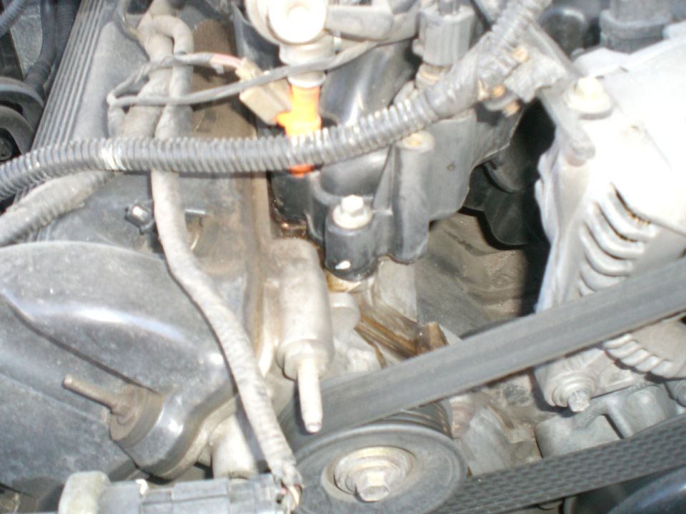 Close-up of engine components including serpentine belt and pulleys