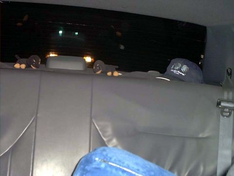 2000 Ford Crown Victoria - OPP wanted to race on the way home :)
